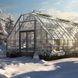 Зимовий сад Екслюзив Glazing, 1 м² ZS00002 фото 7