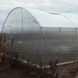 Теплиця Фермерська 5 Glazing 6,2х5х3,0 м (під полікарбонат 8 мм, 10 років гарантії) ТF500002 фото 3